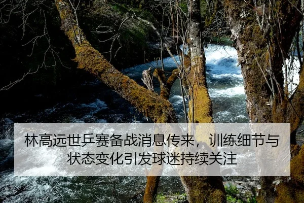 林高远世乒赛备战消息传来，训练细节与状态变化引发球迷持续关注 - kaiyun